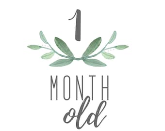 one month old baby sign