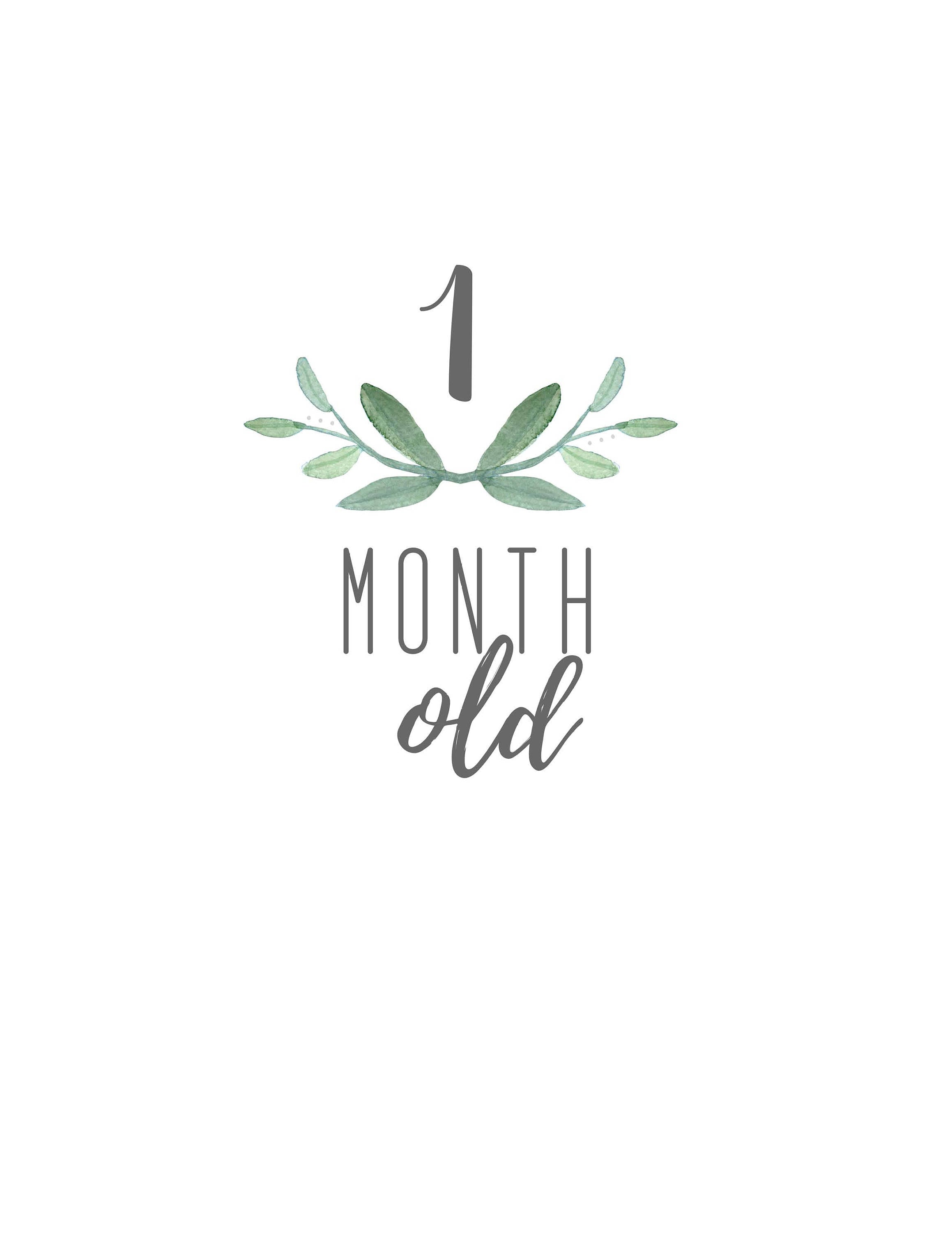 Baby Months Old Printable Set Etsy