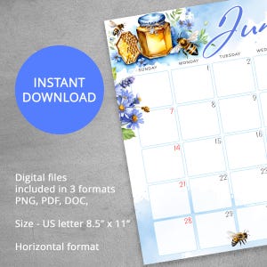 Calendario mensual editable de junio de 2026, diseño de acuarela de abejas, PDF y Word editables. imagen 3