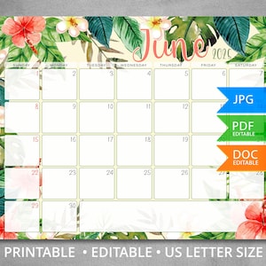 Bearbeitbarer Juni 2025 Kalender mit tropischen Blättern und Monstera, Wandkalender 2025, befüllbarer Monatsplaner, druckbarer Kalender, Letter Size