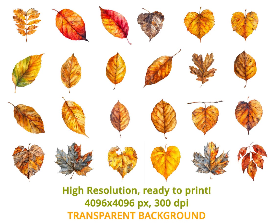 Watercolor Autumn Leaves Clipart Set, 60 PNG Fall Foliage & Nature ...