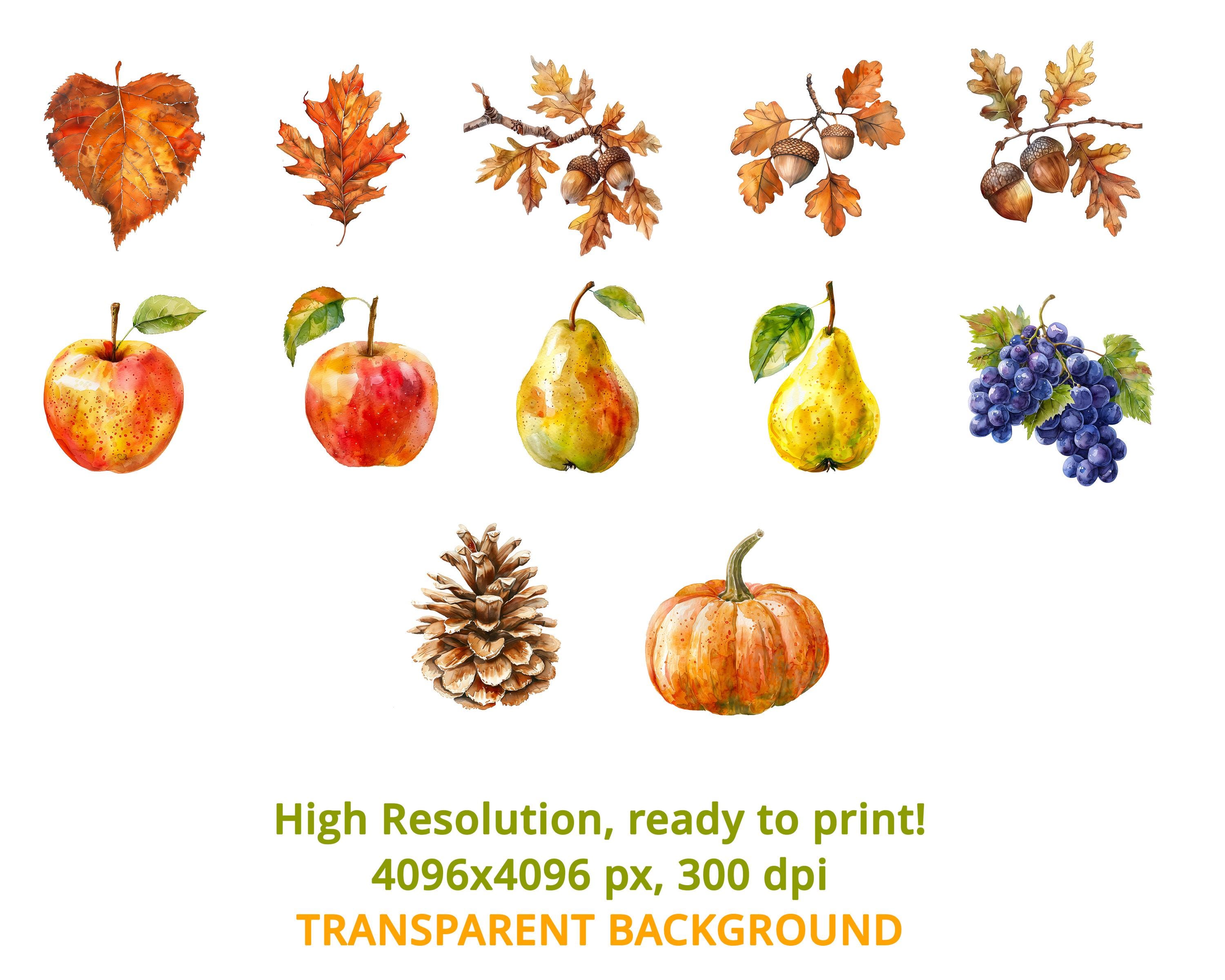 Watercolor Autumn Leaves Clipart Set, 60 PNG Fall Foliage & Nature ...