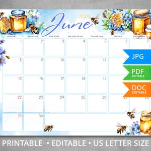 Calendario modificabile giugno 2025 con api, vaso di miele e fiori, Calendario da parete 2024, Planner mensile compilabile, Calendario stampabile, Formato lettera