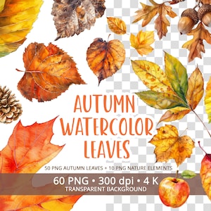 May include: A watercolour illustration featuring autumn leaves in shades of yellow, orange, and red. The image includes a pinecone, acorns, and an apple. Text reads "Autumn Watercolor Leaves" with file details.