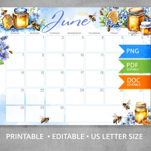 Calendario mensual editable de junio de 2026, diseño de acuarela de abejas, PDF y Word editables. imagen 2