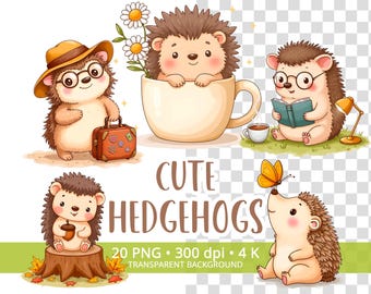 Cute Hedgehog Clipart Bundle 20 PNG, Funny Forest Animals for Kids Crafts, Stickers, Nursery Art, Sublimation, 4K, Transparent Background