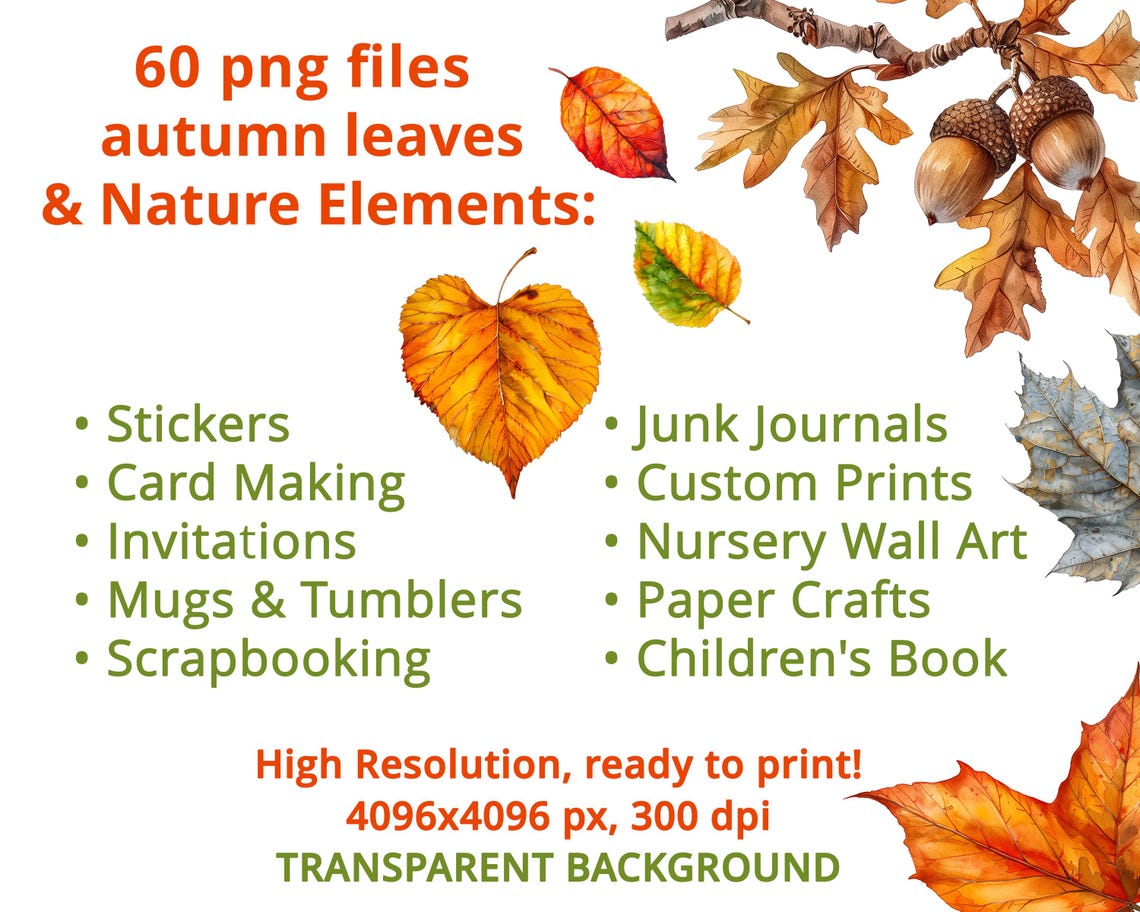 Watercolor Autumn Leaves Clipart Set, 60 PNG Fall Foliage & Nature ...