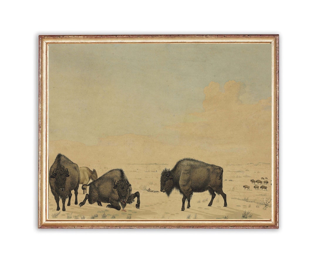 Vintage American Buffalo Painting | Vintage Oil Animal Painting | Bison ...