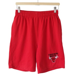 Vintage Starter Chicago Bulls Pinstripe Shorts Size Medium Long Michael  Jordan