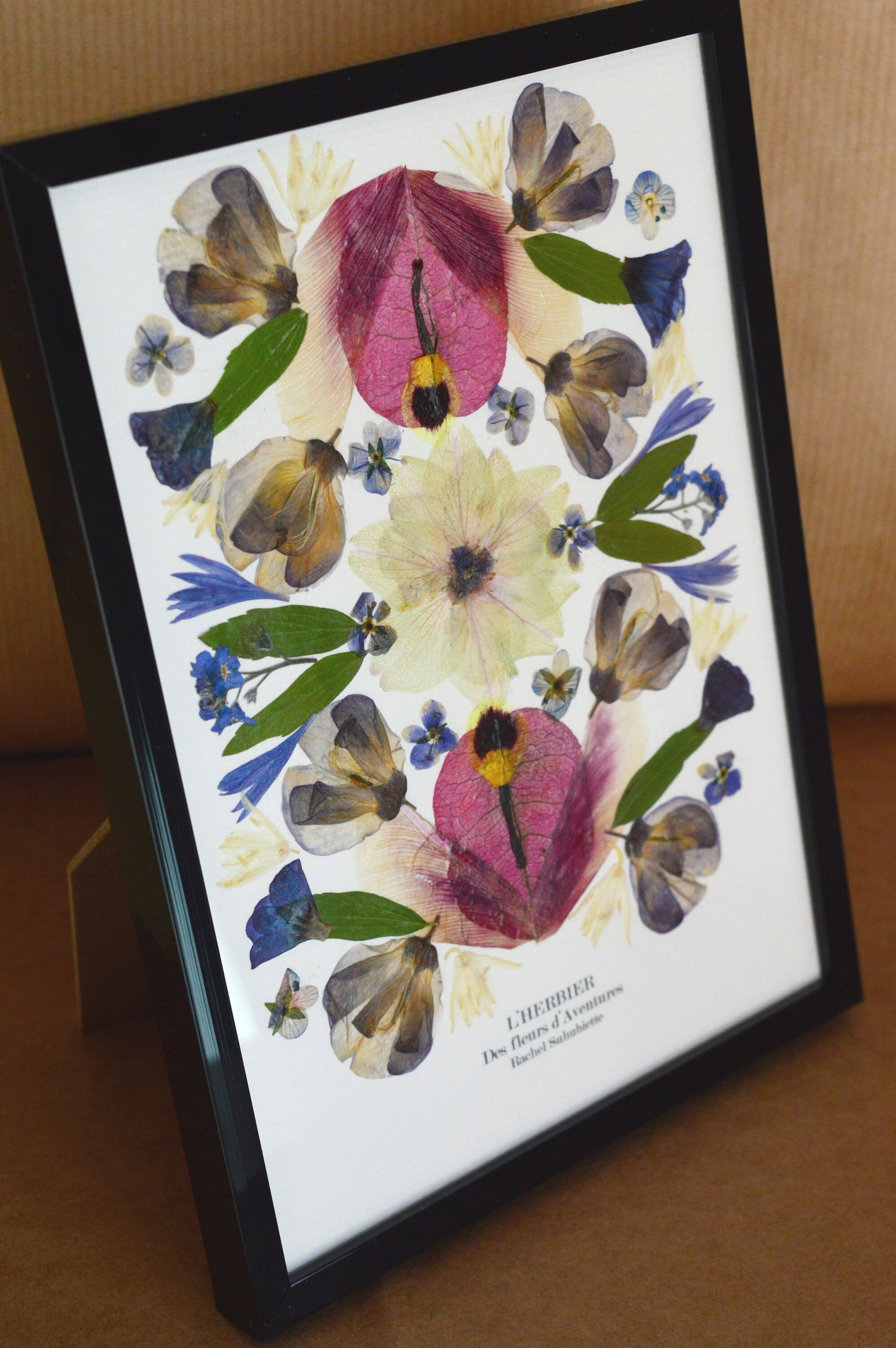 L'herbier Des Fleurs d'aventures 23
