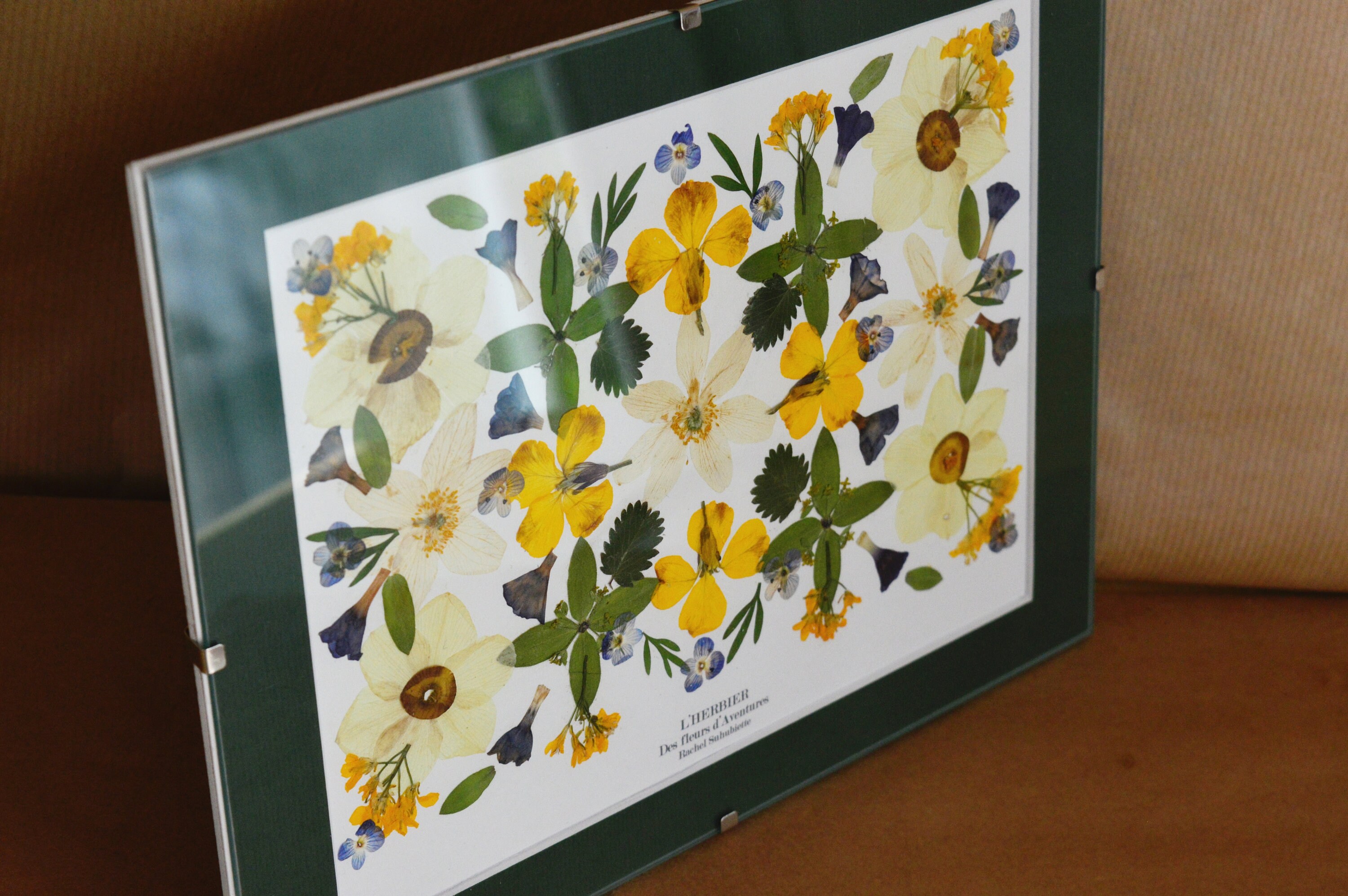L'herbier Des Fleurs d'aventures 25