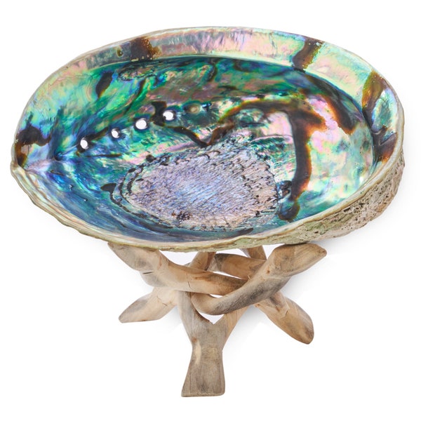 Abalone Shell 5-Inch with Stand | Sustainably Collected - For Smudging, Home Decor, Arts & Crafts, Incense, Smudge Sage Bundle Smoke Cleanse