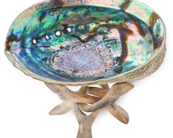 Abalone Shell 6-Inch with Stand | Sustainably Collected - For Smudging, Home Decor, Arts & Crafts, Incense, Smudge Sage Bundle Smoke Cleanse