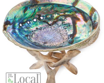 Abalone Shell 6-Inch with Stand | Sustainably Collected - For Smudging, Home Decor, Arts & Crafts, Incense, Smudge Sage Bundle Smoke Cleanse