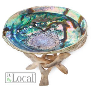Abalone Shell 5-Inch with Stand | Sustainably Collected - For Smudging, Home Decor, Arts & Crafts, Incense, Smudge Sage Bundle Smoke Cleanse