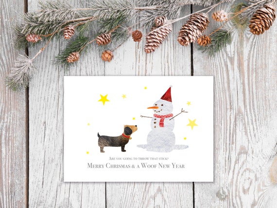 Zoe dog advent shop calendar