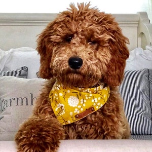 Ruff Hippie Dog Bandana, Tie and Snap, Spring print yellow floral.