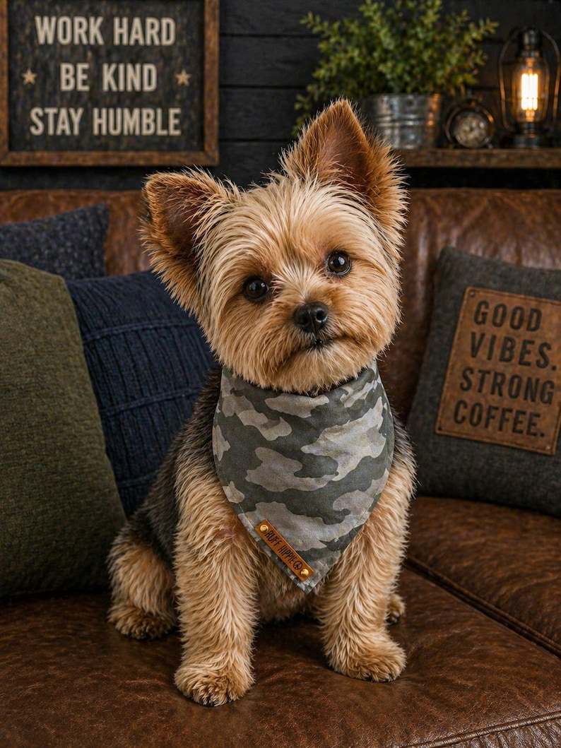 Puede incluir: Un perro Yorkshire Terrier con un pa&ntilde;uelo de camuflaje est&aacute; sentado en un sof&aacute; de cuero marr&oacute;n. El perro tiene pelo marr&oacute;n y canela. Un letrero encima del perro dice "WORK HARD BE KIND STAY HUMBLE". Una almohada dice "GOOD VIBES. STRONG COFFEE."