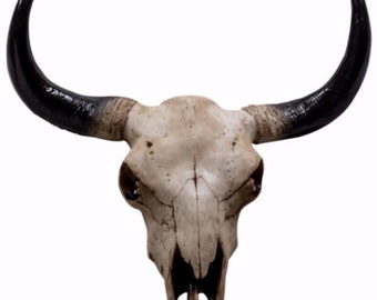 Large Bison Skull Wall Head