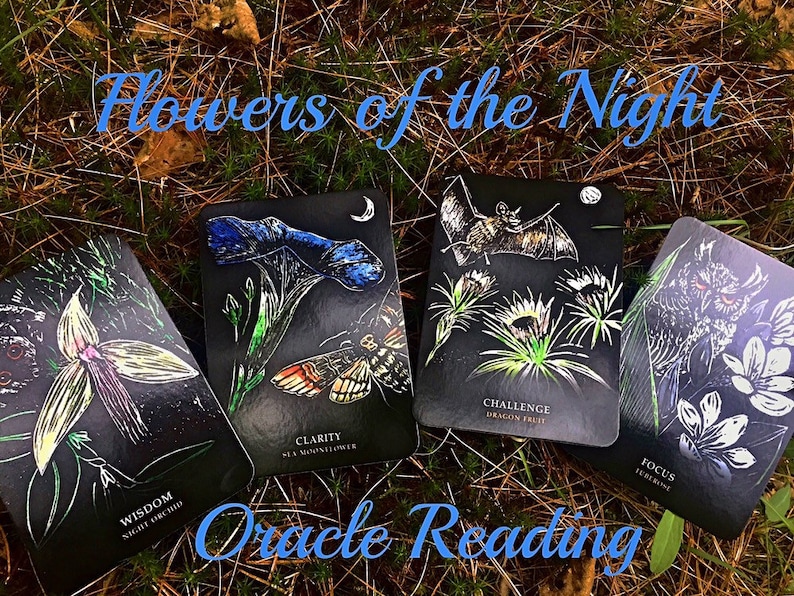 Flowers of the Night Oracle Reading Etsy