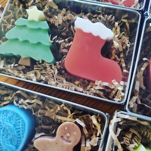 Holiday hand soap