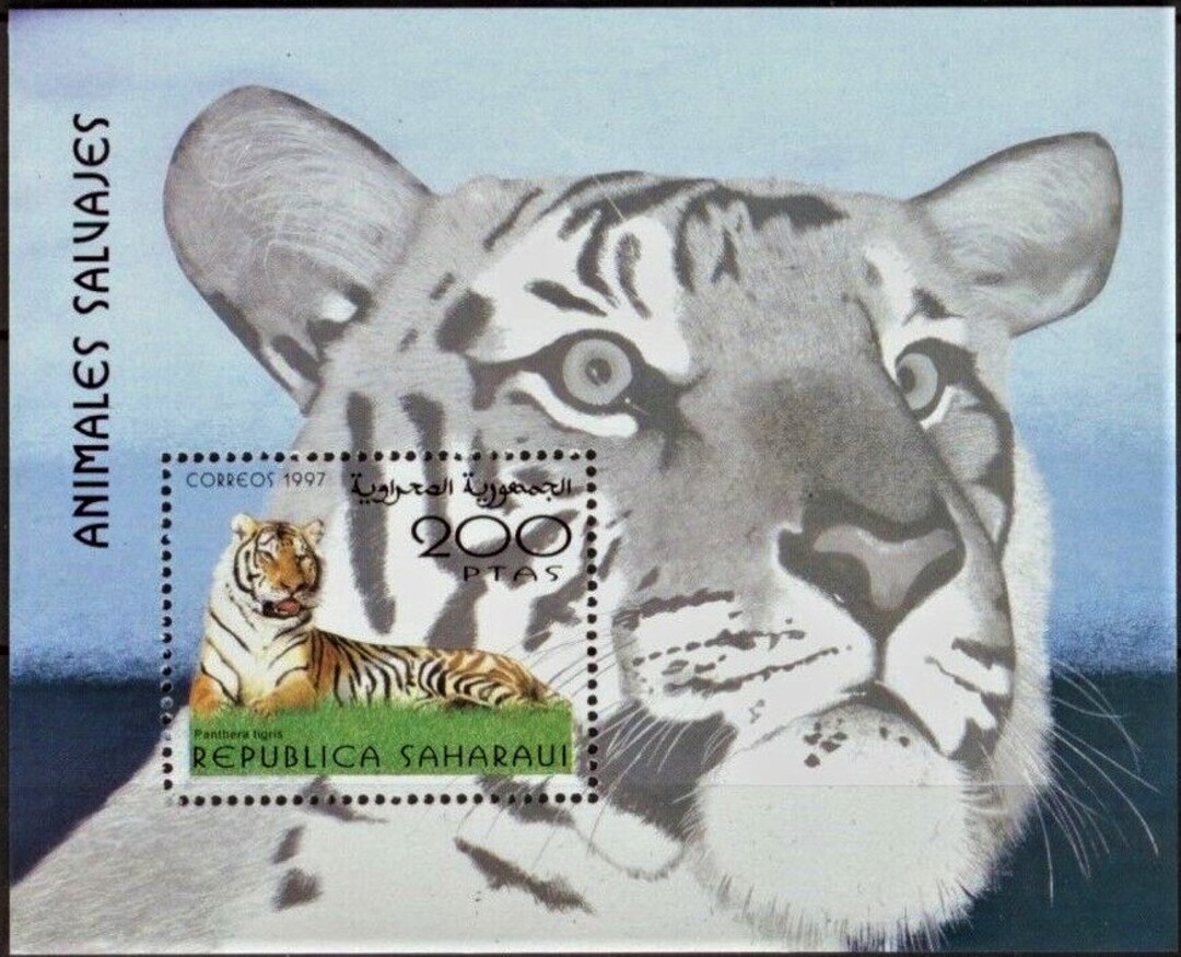 1997 Saharaui Sahara Republic Souvenir Sheet Postage Stamp MNH - Etsy Canada 1997 Saharaui Sahara Republic Souvenir Sheet Postage Stamp MNH - Etsy Canada