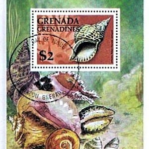 May include: A vintage postage stamp from Grenada and the Grenadines featuring a seashell with a $2 denomination.