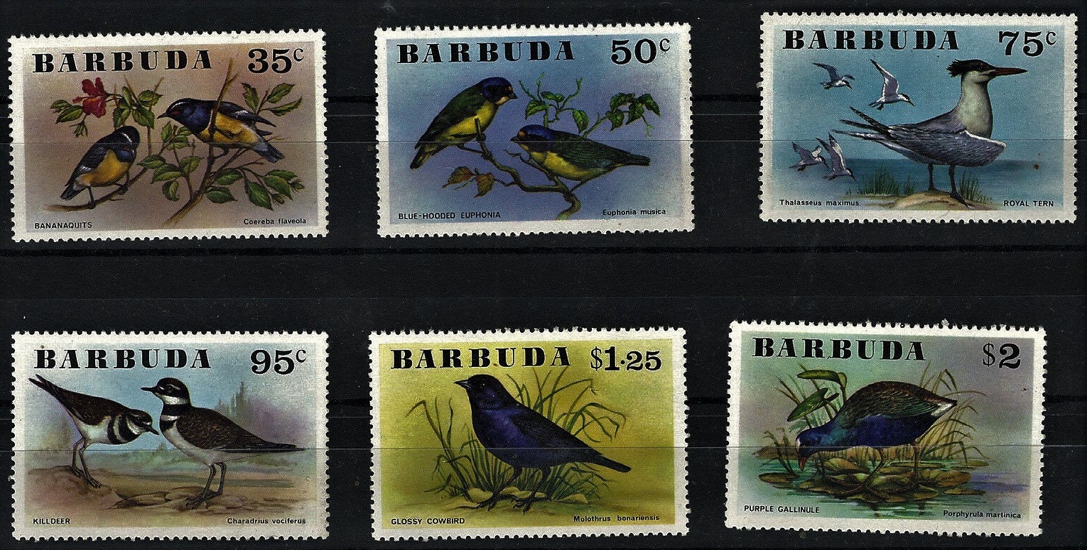 Buy RARE Barbuda 1976 Complete Set of 6 Single Postage Stamps Online in India - Etsy Buy RARE Barbuda 1976 Complete Set of 6 Single Postage Stamps Online in India - Etsy
