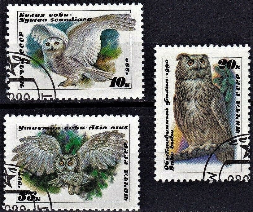 Russia 1990 Owl Postage Stamps Set – Scott #5871-3 (CTO)