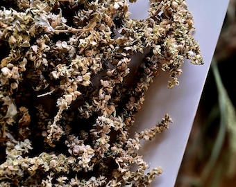 Bird Foraging Treat - Nourishment & Enrichment - Native Seeded Saltbush Sprigs