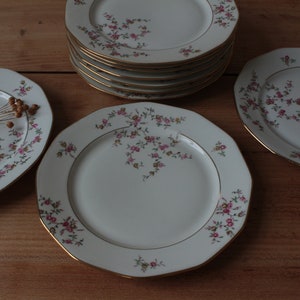 Set of ten vintage floral plates M&S Limoges