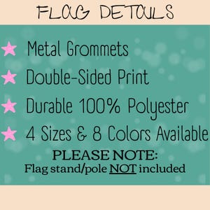 Graphic titled “Flag Details” listing product features for the Big Fan of Human Rights house flag. Text highlights metal grommets, double-sided print, durable 100% polyester fabric, and availability in four sizes and eight colors. A note at the bottom states that the flag stand or pole is not included. The layout uses a teal background with decorative accents for clarity.