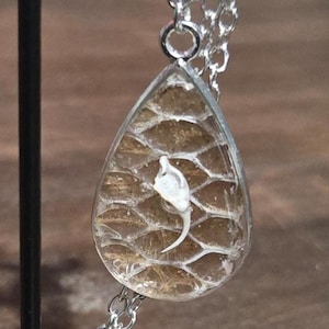 Puede incluir: Un collar con colgante en forma de lágrima y marco de metal plateado. El interior contiene un patrón de piel de serpiente texturizado de color beige con un pequeño fragmento de hueso blanco curvado incrustado en el centro, sujeto a una cadena plateada.