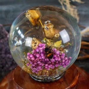 Puede incluir: Una esfera de vidrio transparente con una avispa marrón, flores secas y bayas moradas en su interior. La esfera está sobre una base de madera.