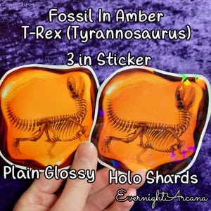 Fósil en ámbar / T-Rex / Tiranosaurio Rex / Adhesivo de vinilo, liso y holográfico