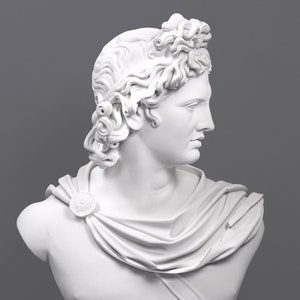 Large Apollo Bust Sculpture - Greek Statue of Apollo Belvedere - Neoclassical Antique Marble - Male Art 76 cm / 30&quot; - The Ancient Home