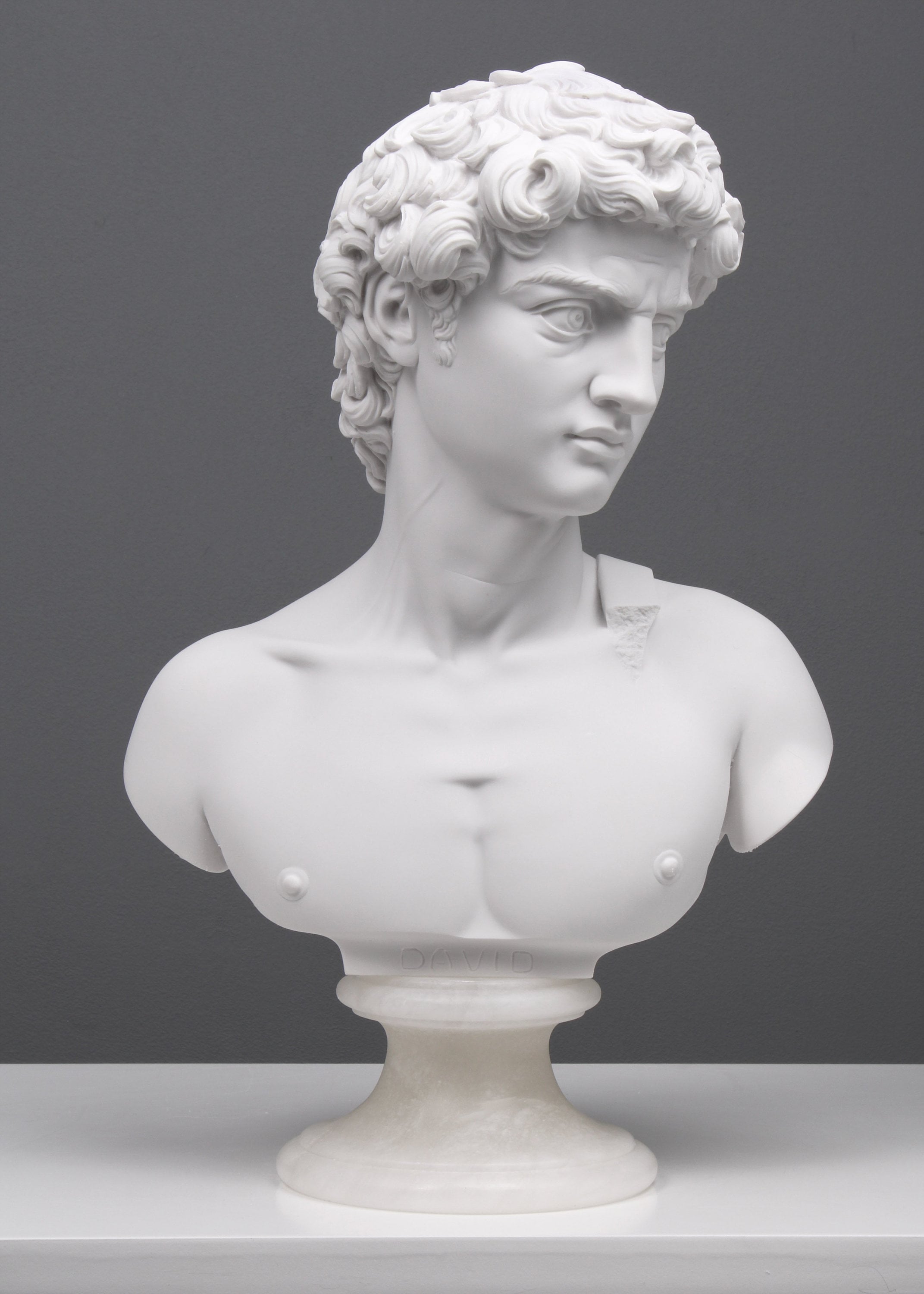 Bust of David Reproduction by Michelangelo Marble Sculpture - Etsy