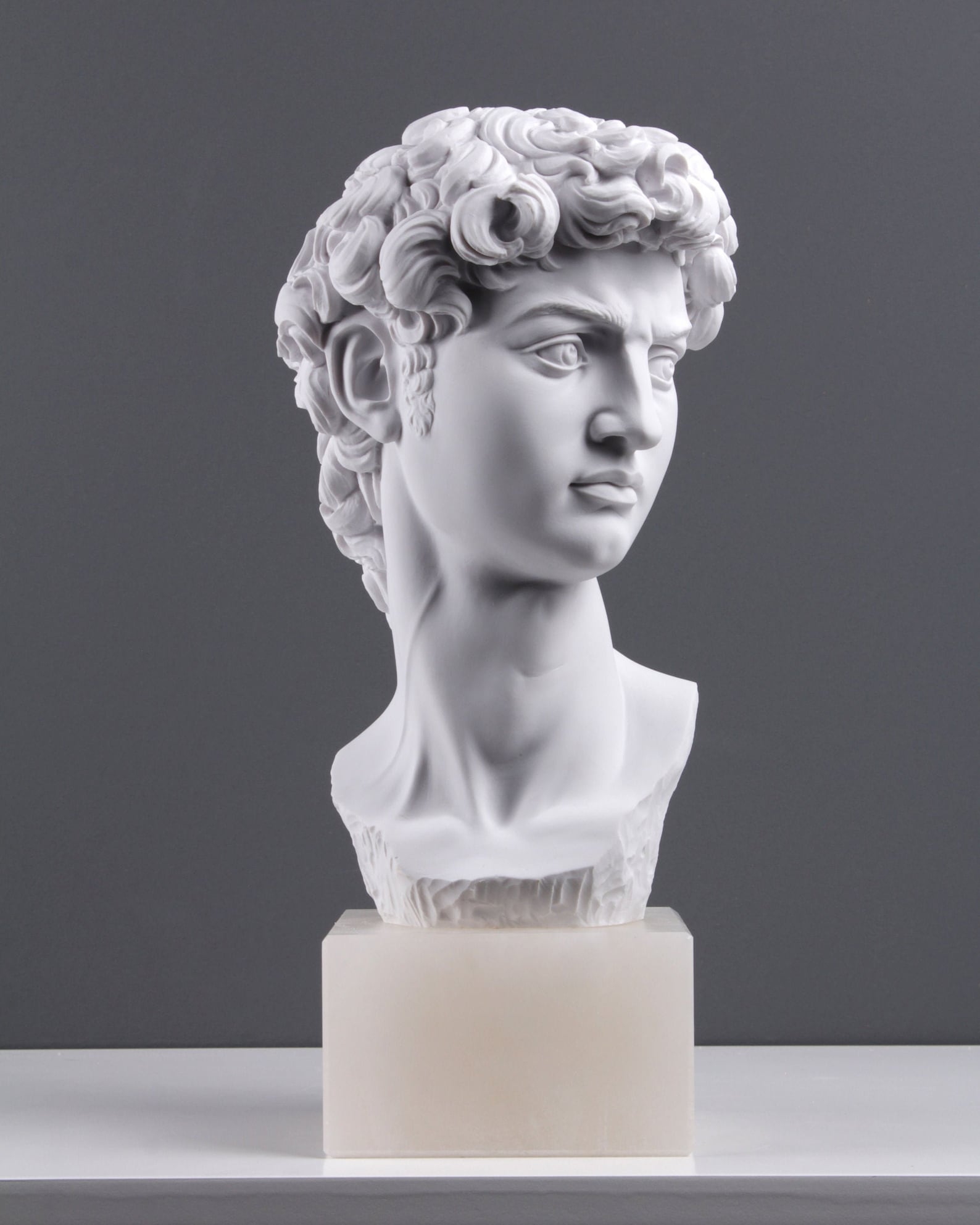 Michelangelo David Head Bust Reproduction from the Famous Etsy