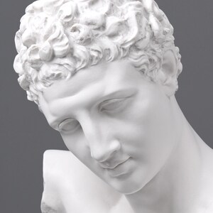 May include: White plaster bust of a person with short, curly hair. The bust is angled down, and the person's face is visible. The person has a serious expression.