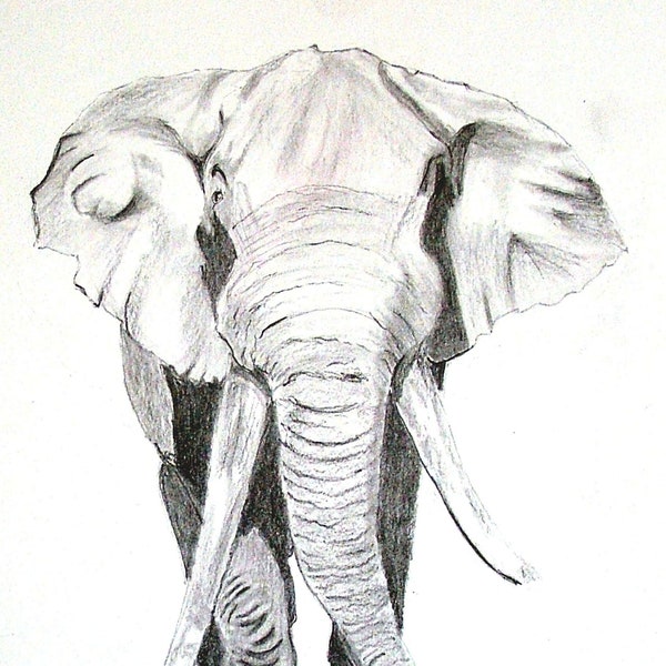 Graphite drawing of Elephant