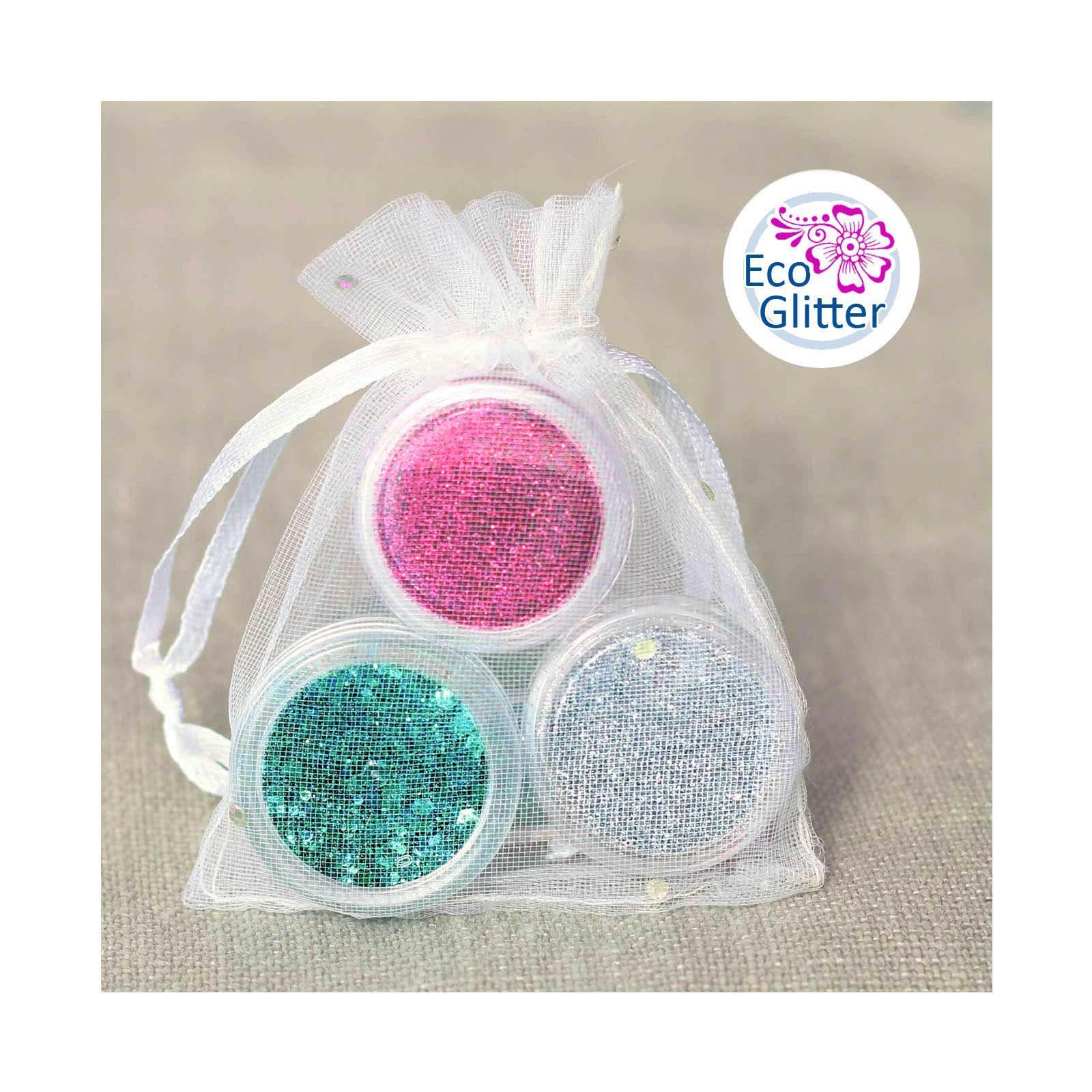 Biodegradable Glitter Set Including 1 Chunky Etsy UK