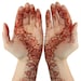 Jagua Ltd