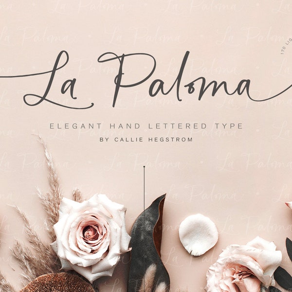 La Paloma Script + Catchwords - Fonts, Handwritten Fonts, Calligraphy, Script, Handwriting, Cricut & Silhouette Fonts - Instant Download