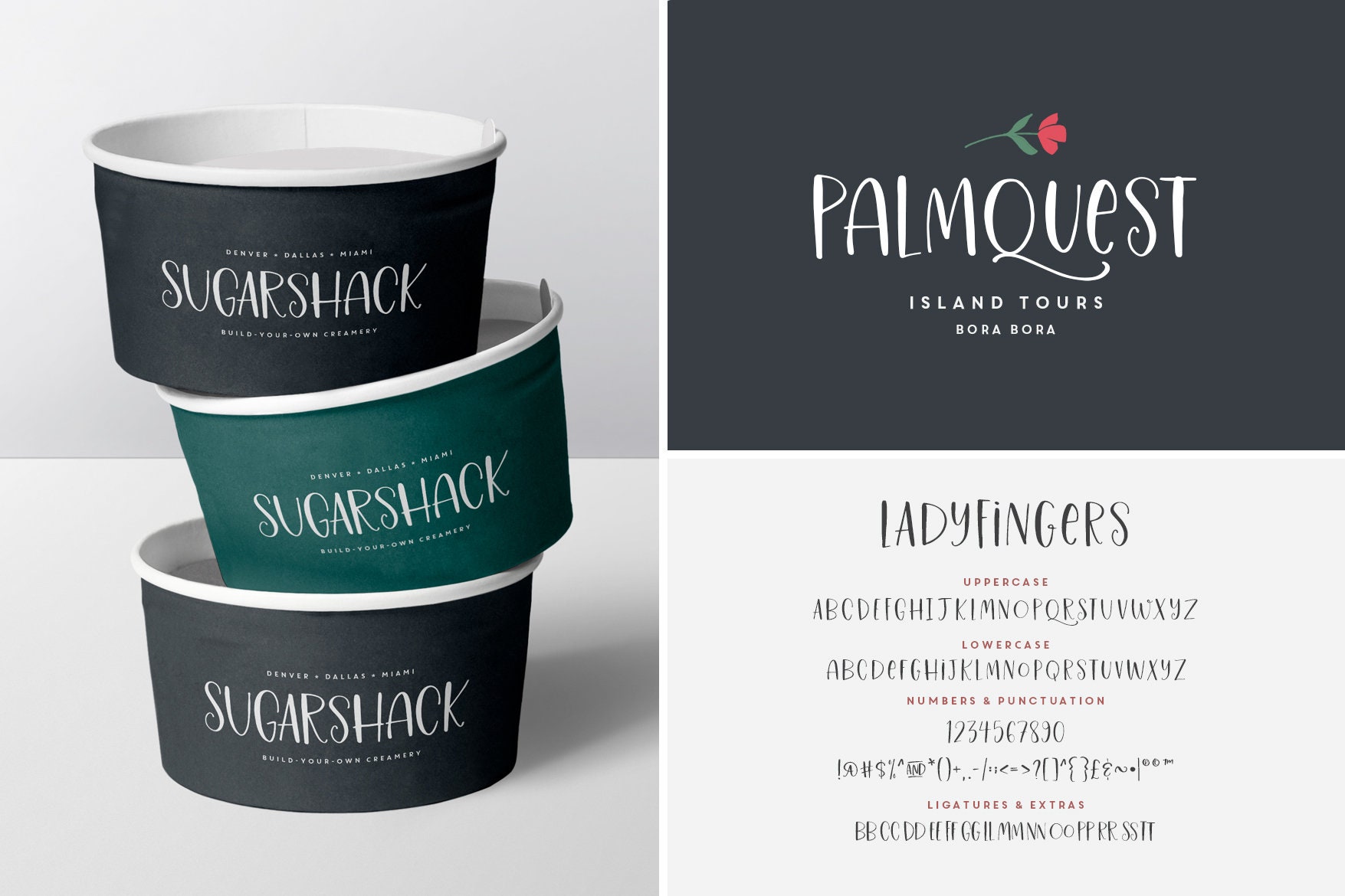 Handwritten Font Bundle Vol. 2 | Fonts, Handwriting Fonts, Quote Fonts ...