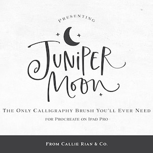 Juniper Moon Procreate Calligraphy Brush (PDF Installation Guide) image 1