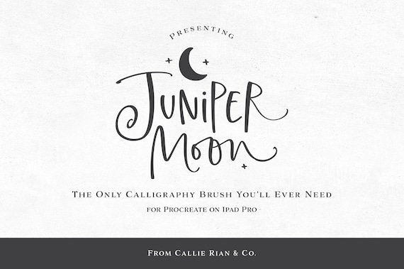 Juniper Moon Procreate Calligraphy Brush (PDF Installation Guide)