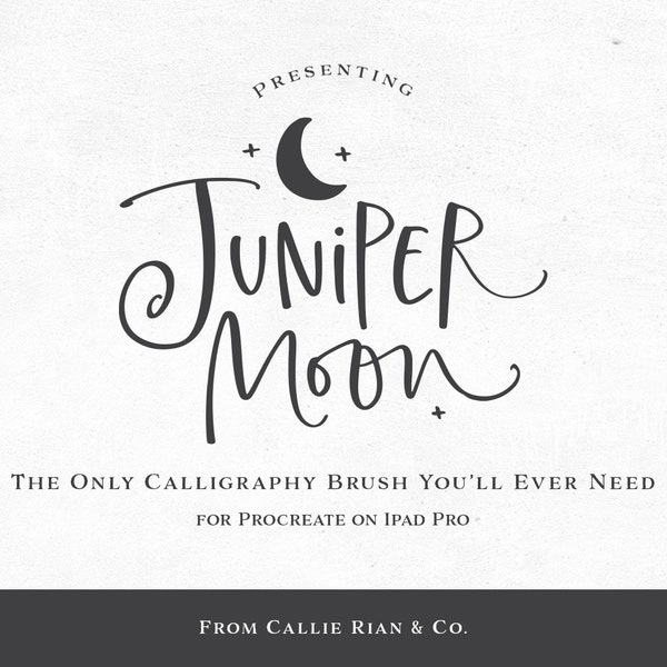 Juniper Moon | Procreate Calligraphy Brush, Brush Lettering, Hand Lettering, Procreate, Simple Brush, Modern Calligraphy.