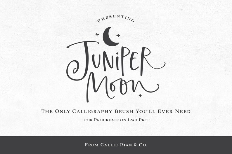 Juniper Moon Procreate Calligraphy Brush (PDF Installation Guide) image 1