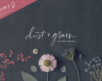 Dust & Grain Textures Vol. 2: PNG Grunge Overlays (Instant Download)
