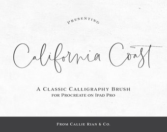 California Coast Procreate Brush: Hand Lettering Brush (PDF Guide)